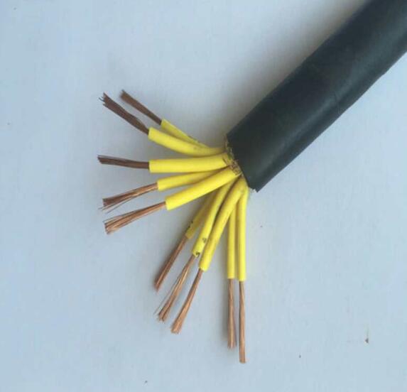 DJYVP、DJYPV、DJYPVP計(jì)算機(jī)電纜